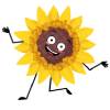 ikona słonecznika