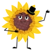 ikona słonecznika 1