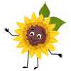 ikona słonecznika 3