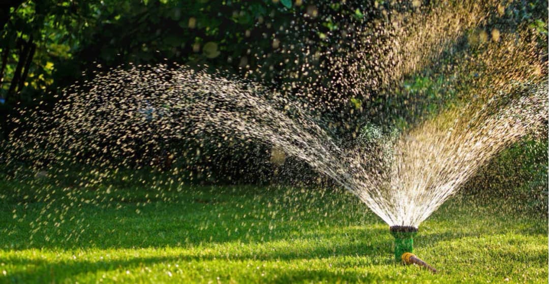 Jaki zraszacz do małego ogrodu? Odkryj najlepsze opcje nawadniania