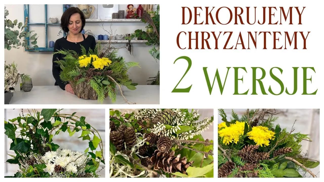 Jak udekorować chryzantemę w doniczce, by zachwycała każdego dnia