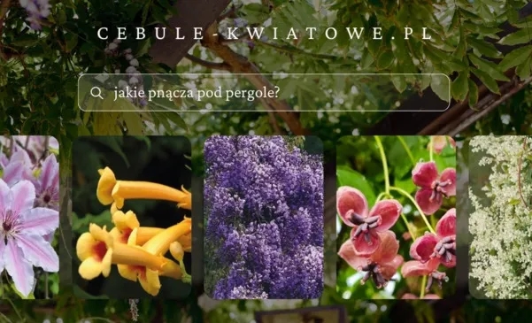 Jakie pnącza na pergole wybrać, aby cieszyć się pięknym ogrodem?