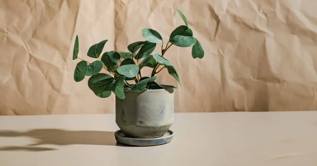 Jak dobrać wielkość osłonki do doniczki, aby uniknąć problemów z roślinami