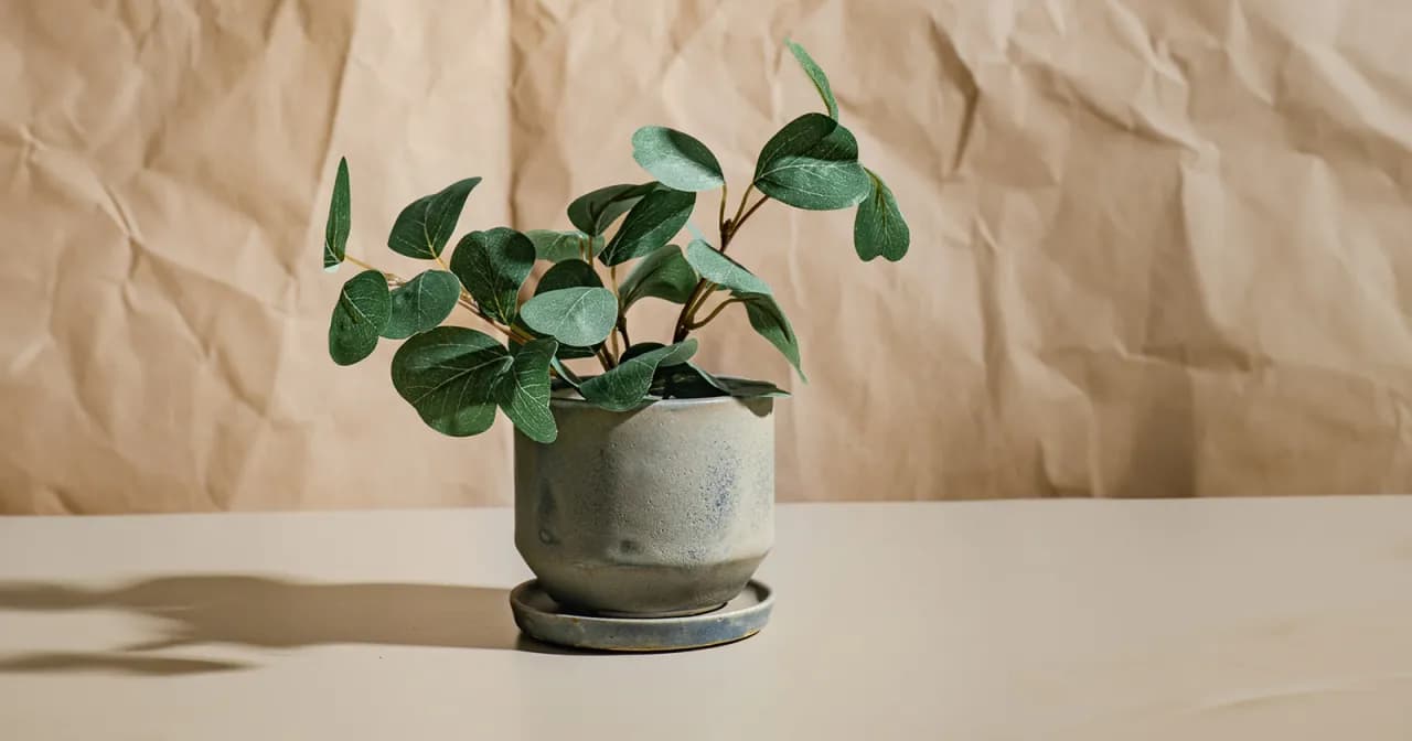 Jak dobrać wielkość osłonki do doniczki, aby uniknąć problemów z roślinami