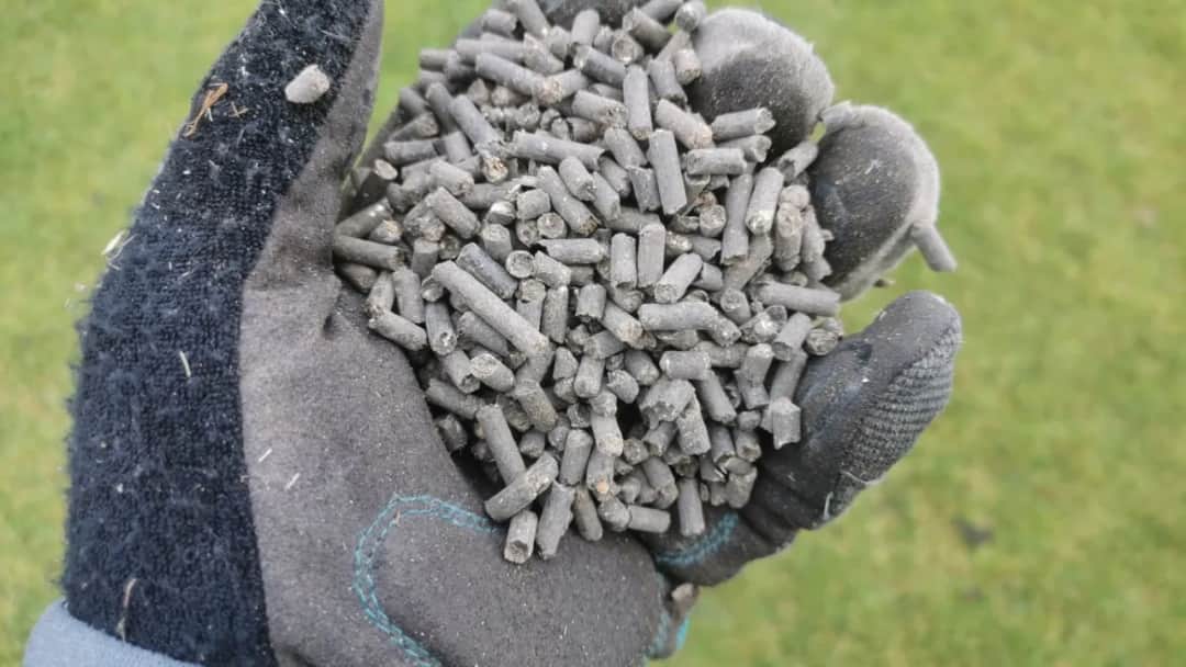 Jaki obornik na trawnik? Odkryj najlepsze nawozy dla zdrowej trawy