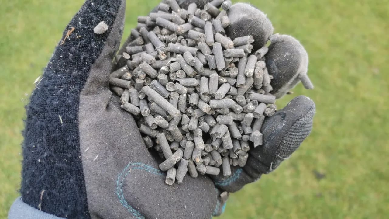 Jaki obornik na trawnik? Odkryj najlepsze nawozy dla zdrowej trawy