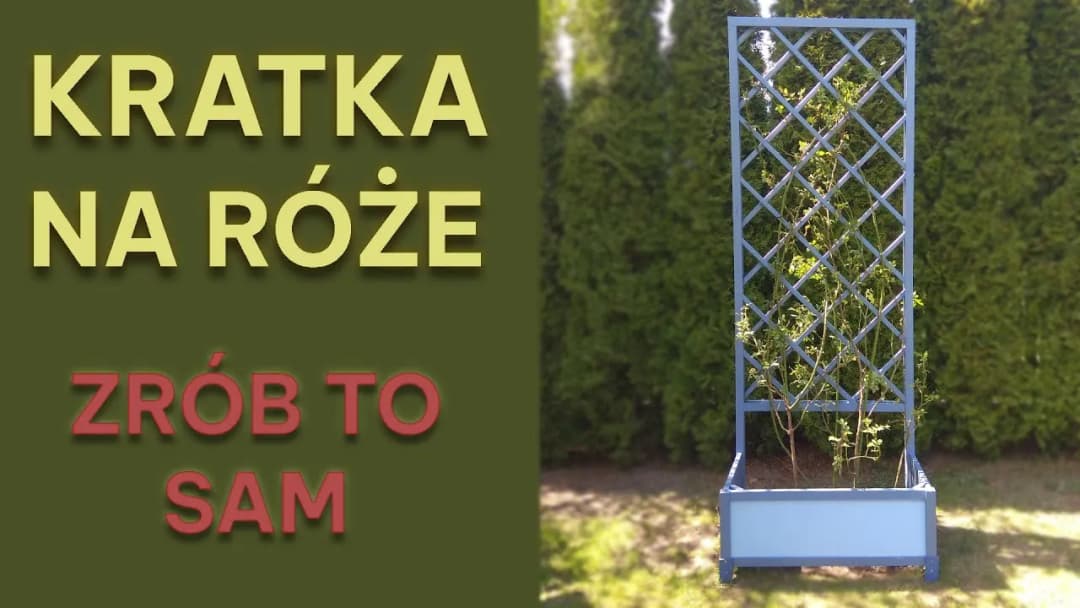 Jak zrobić pergolę na róże – krok po kroku, aby uniknąć błędów