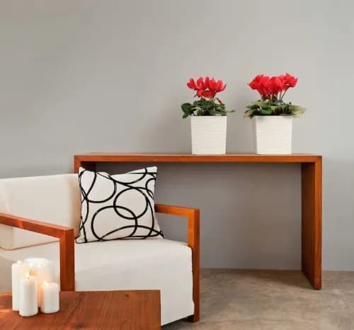 Jaka doniczka do juki? Wybierz idealną dla zdrowego wzrostu