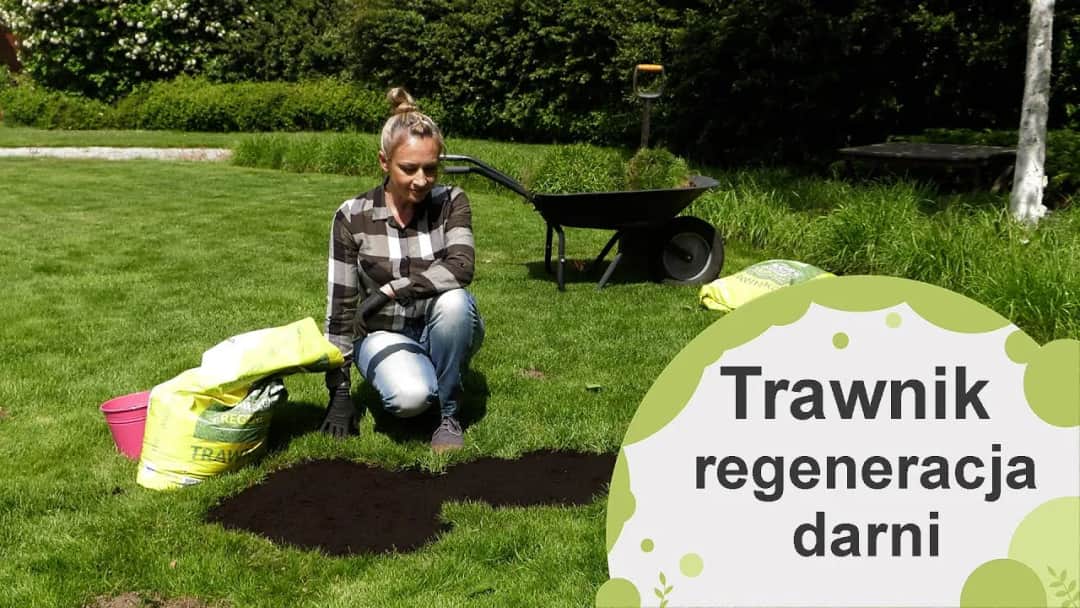 Skuteczne sposoby na regenerację trawnika i przywrócenie mu zdrowia