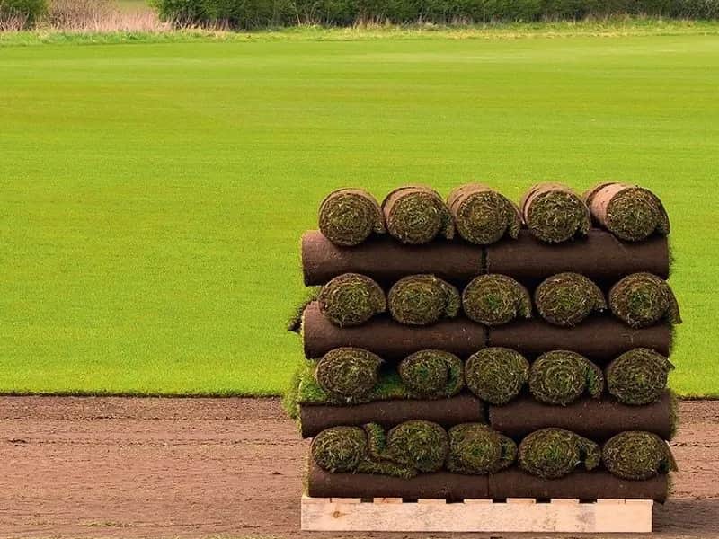 Ile ziemi pod trawnik 100m2? Oblicz potrzebną ilość i uniknij błędów